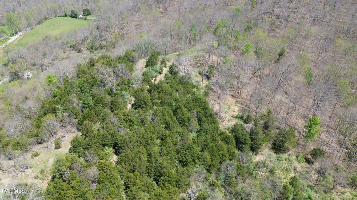 Photo #76: 9296 Bristol Highway