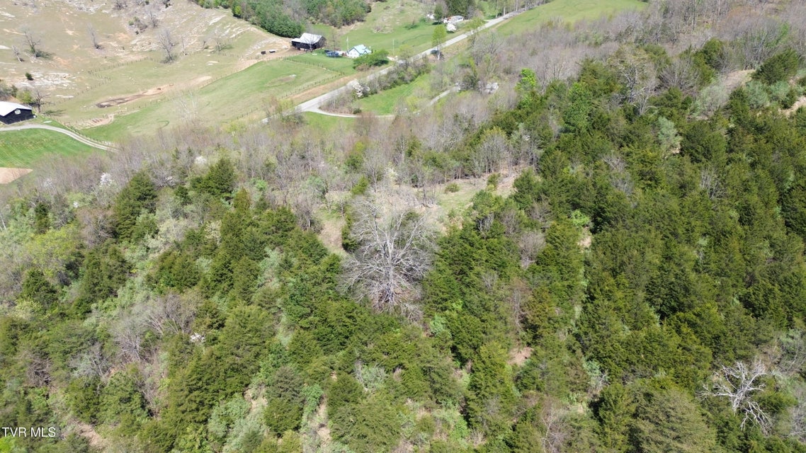 Photo #82: 9296 Bristol Highway