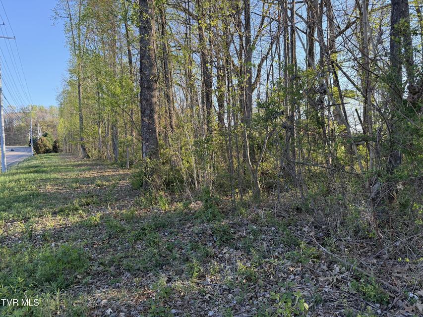 Photo #4: Tbd Roan Street