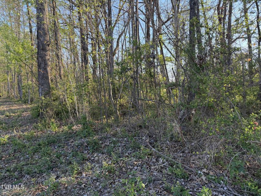 Photo #13: Tbd Roan Street