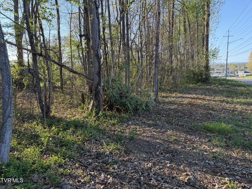 Photo #9: Tbd Roan Street