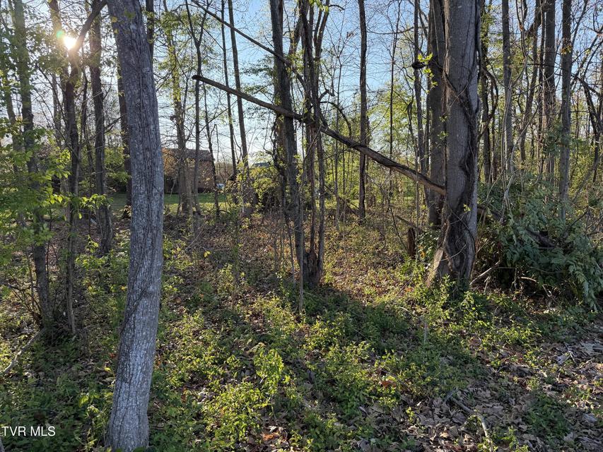 Photo #12: Tbd Roan Street