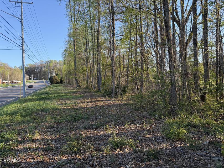 Photo #5: Tbd Roan Street