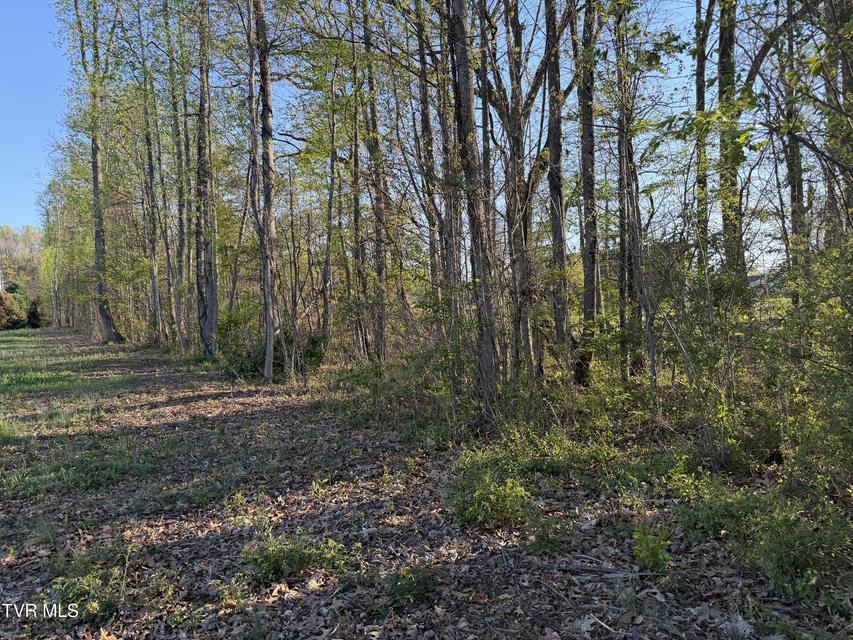 Photo #7: Tbd Roan Street