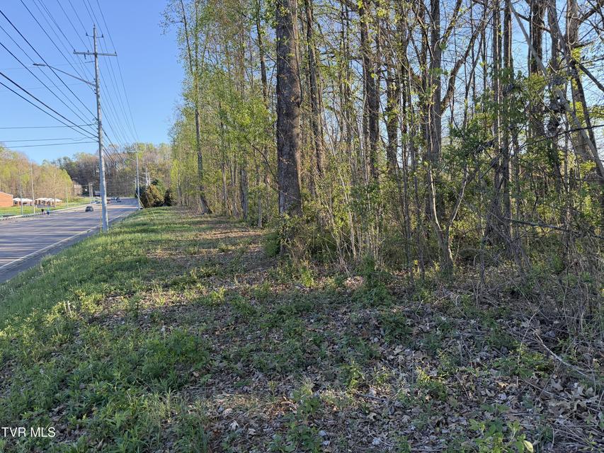 Photo #6: Tbd Roan Street