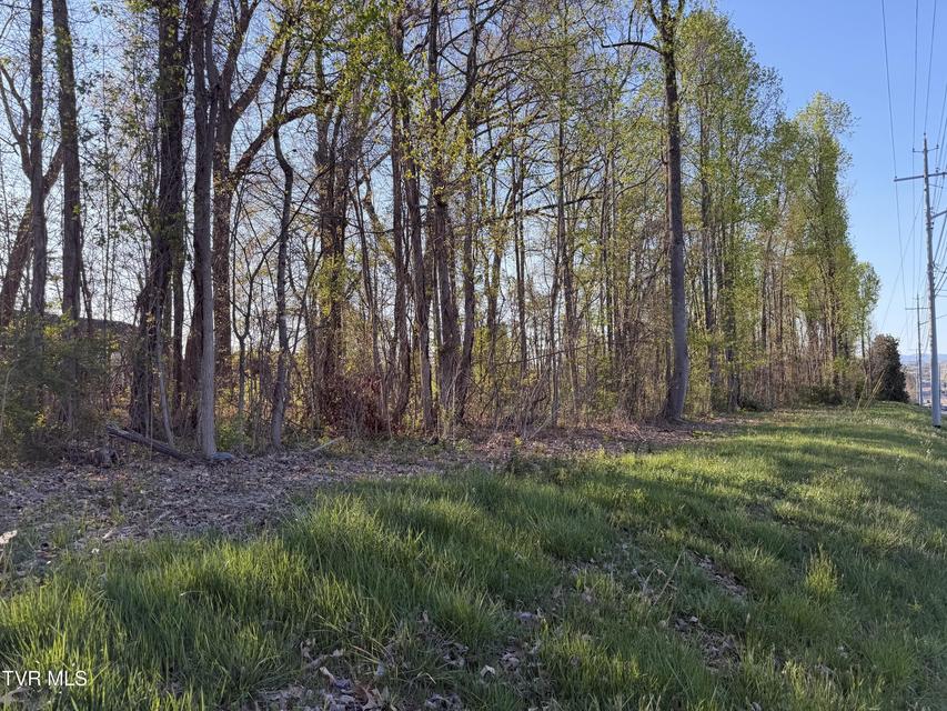 Photo #3: Tbd Roan Street