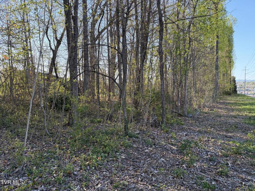 Photo #8: Tbd Roan Street