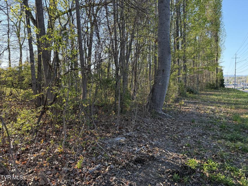 Photo #10: Tbd Roan Street