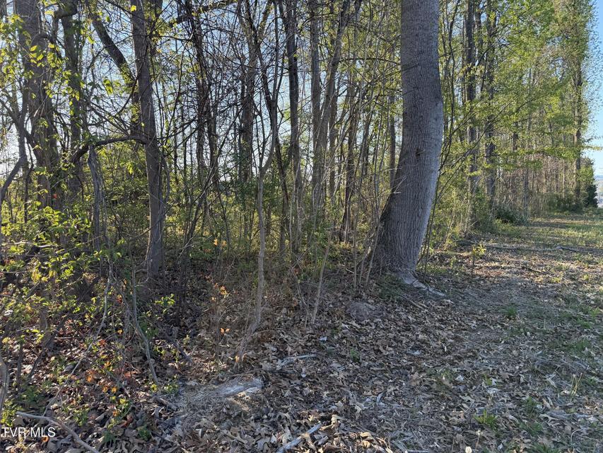 Photo #11: Tbd Roan Street