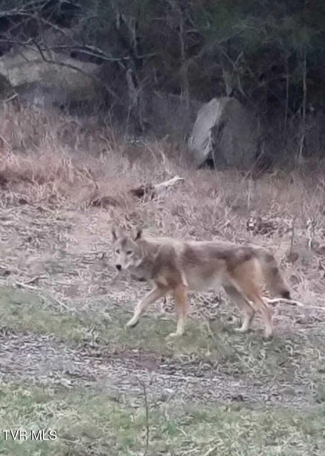 Photo #87: 9296 Bristol Highway