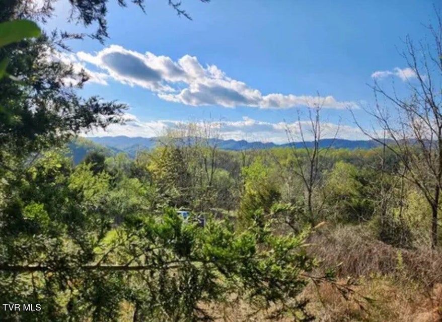 Photo #95: 9296 Bristol Highway