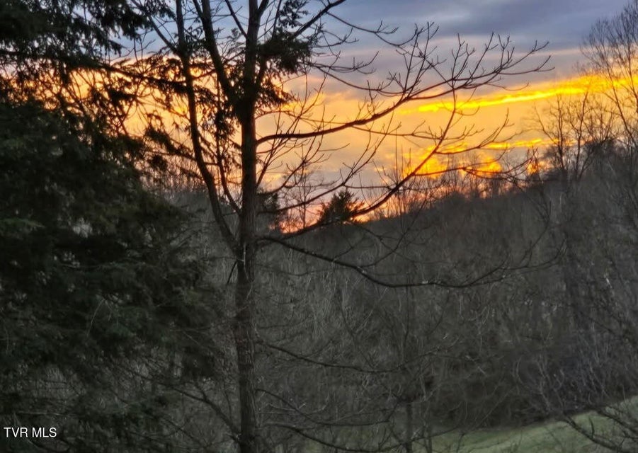 Photo #96: 9296 Bristol Highway