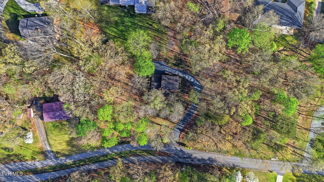 Photo #43: 149 Fern Street