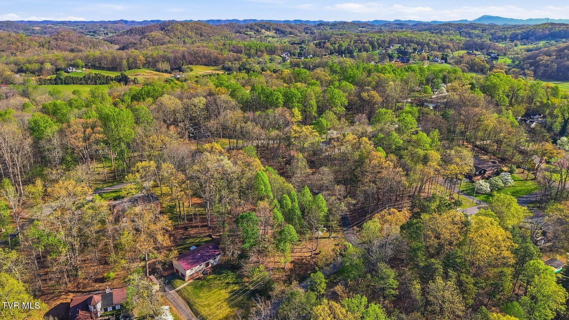 Photo #44: 149 Fern Street