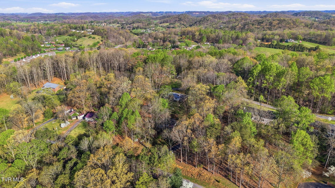 Photo #45: 149 Fern Street