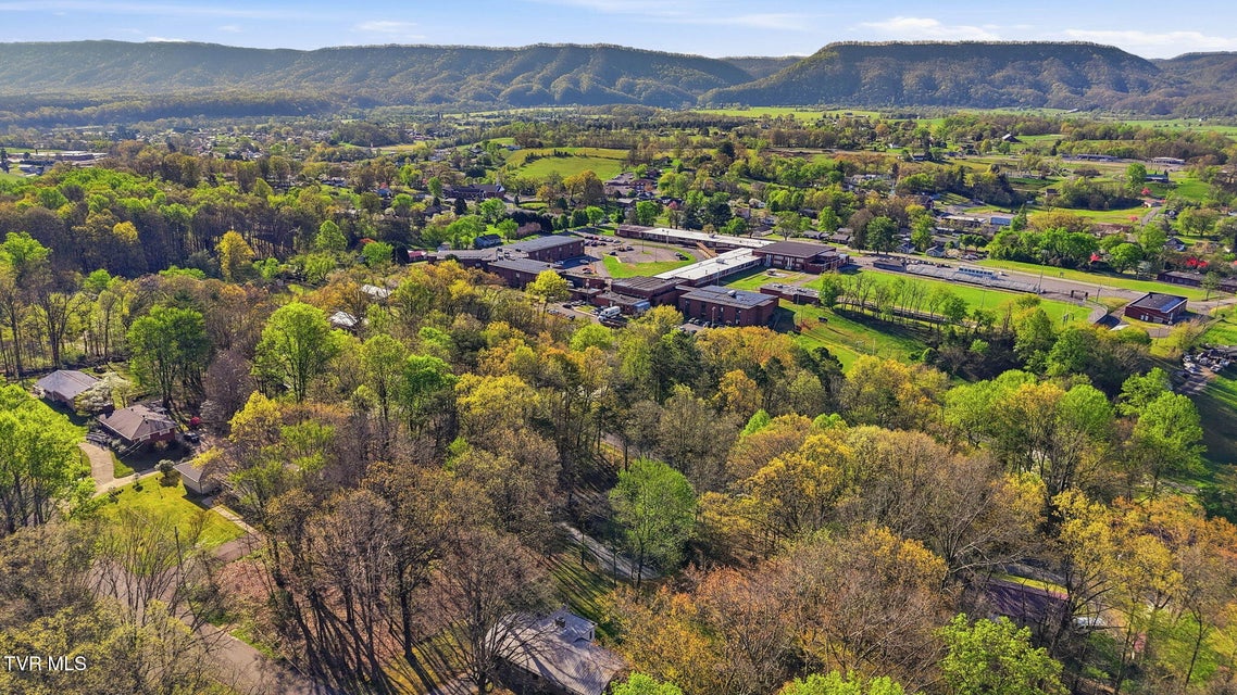 Photo #46: 149 Fern Street