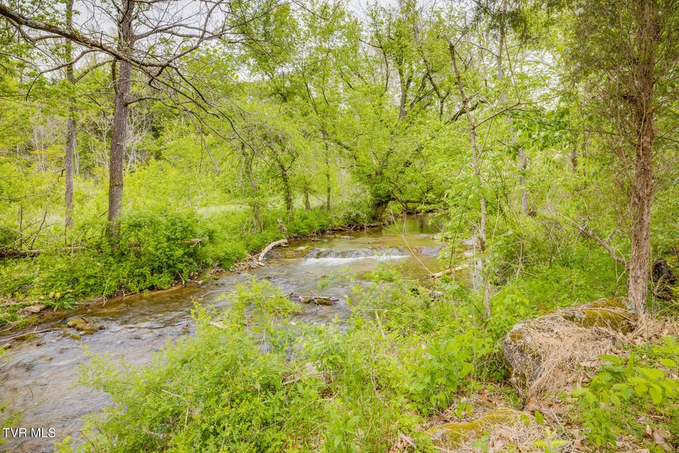 Photo #43: 239 Crestview Street