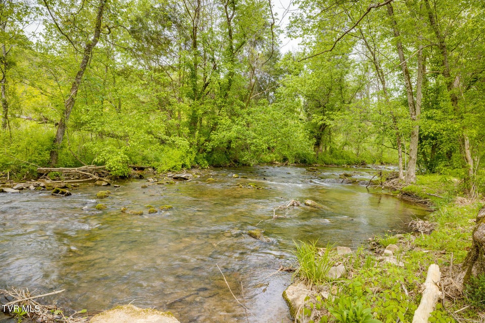 Photo #44: 239 Crestview Street