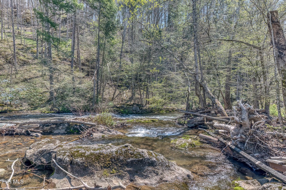 Photo #52: 1658 State Highway 91 