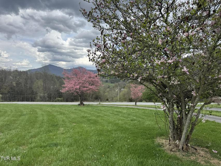 Photo #34: 298 Rabbit Run Lane