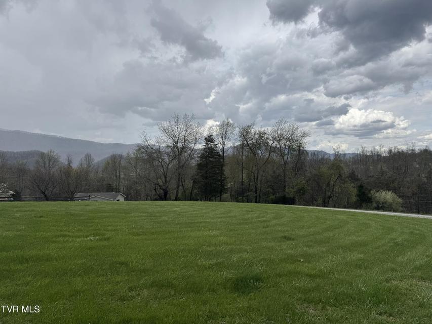 Photo #35: 298 Rabbit Run Lane