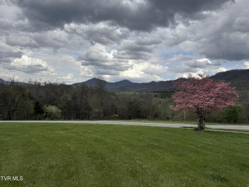 Photo #37: 298 Rabbit Run Lane