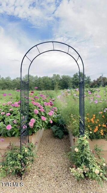 Photo #50: 5144 Hester Court