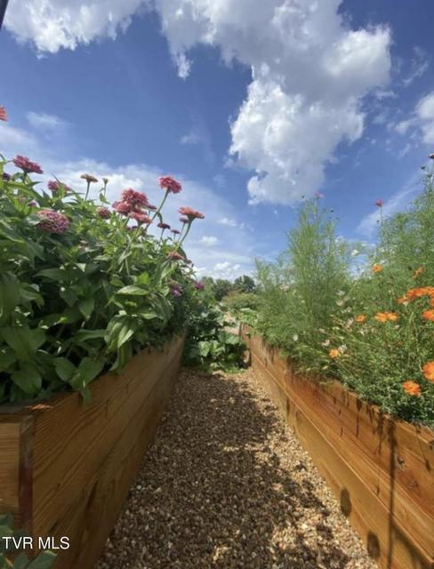 Photo #51: 5144 Hester Court