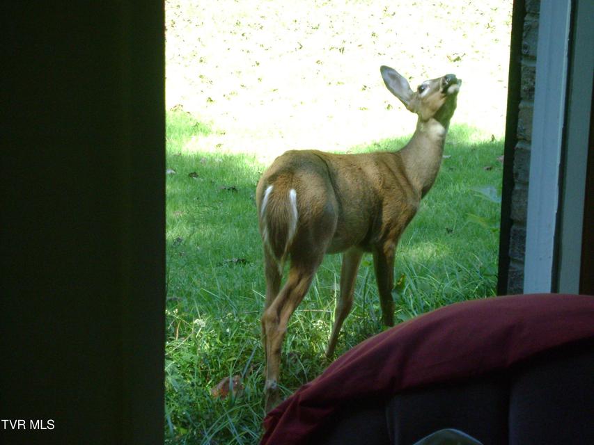 Photo #58: 4 Okeechobee Drive
