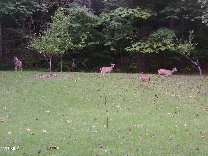 Photo #59: 4 Okeechobee Drive