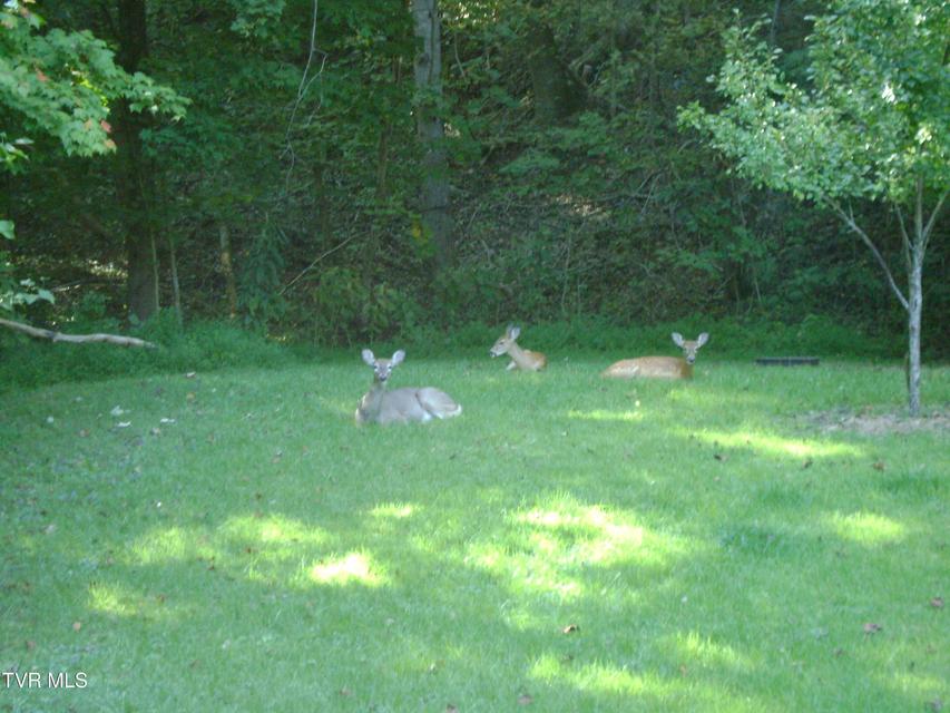 Photo #60: 4 Okeechobee Drive