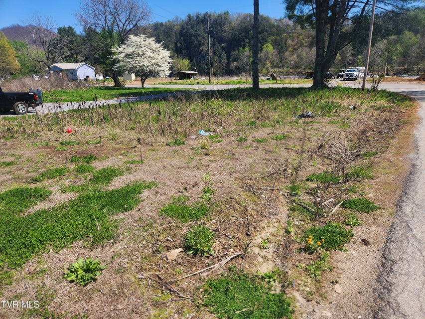 Photo #4: 175 Bumpus Cove Road