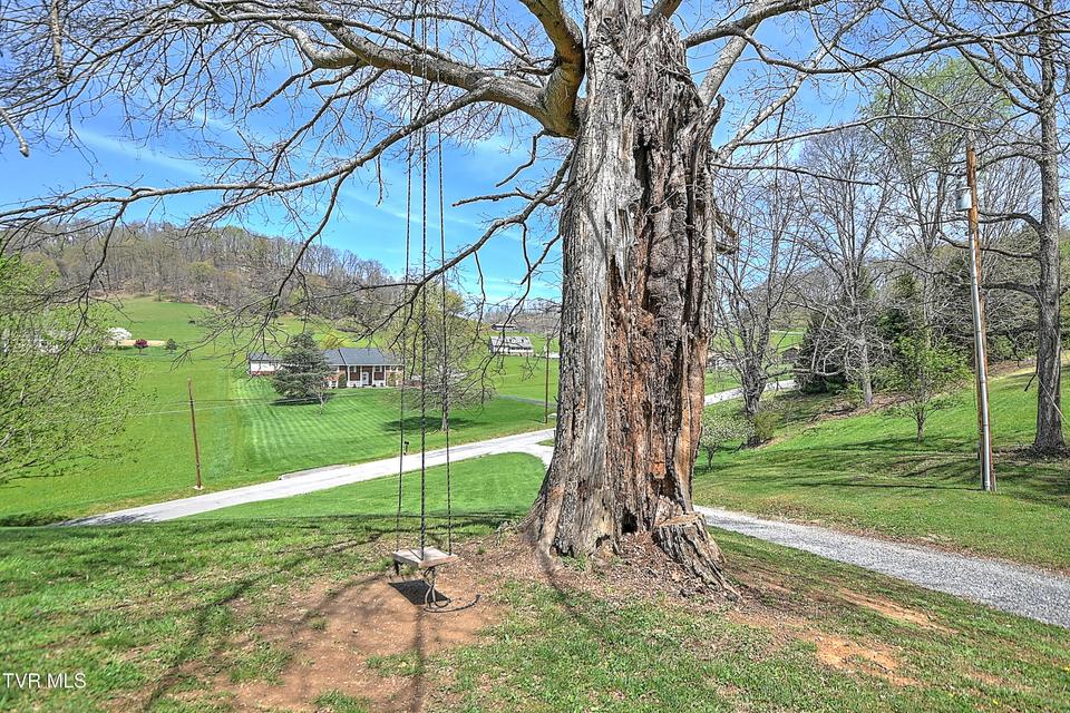 Photo #45: 800 Chadwell Road