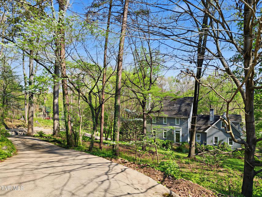 Photo #33: 150 Pine Straw Ridge