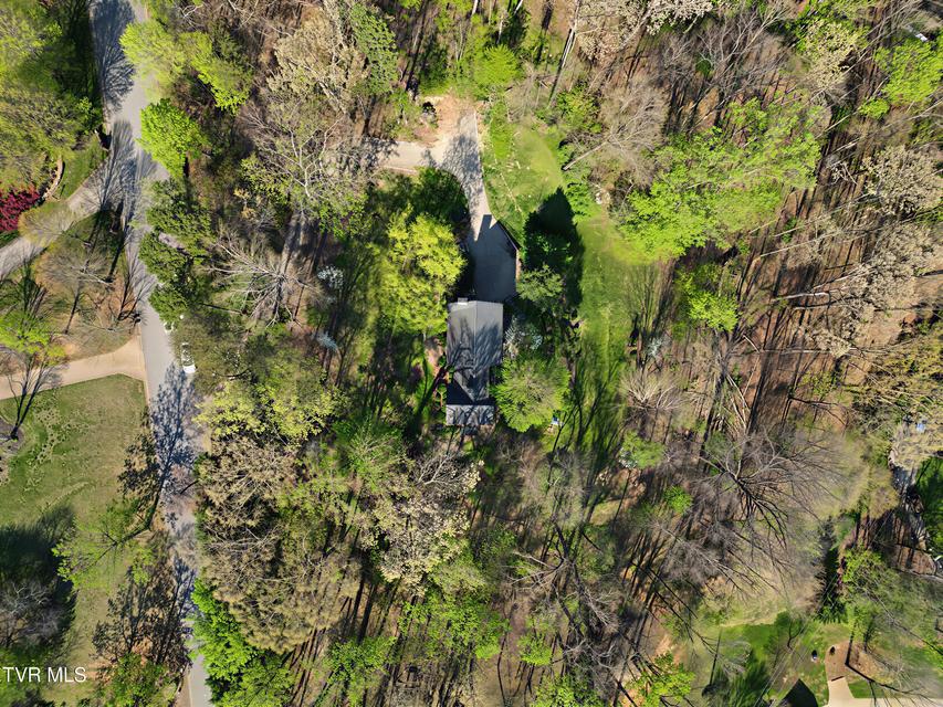 Photo #34: 150 Pine Straw Ridge