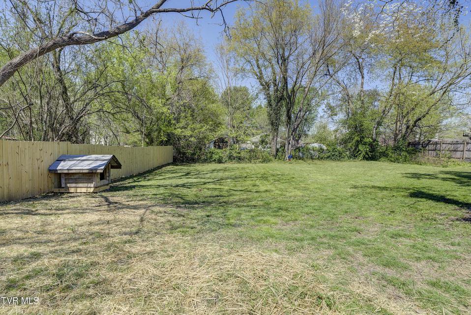 Photo #5: 511 Coffee Street