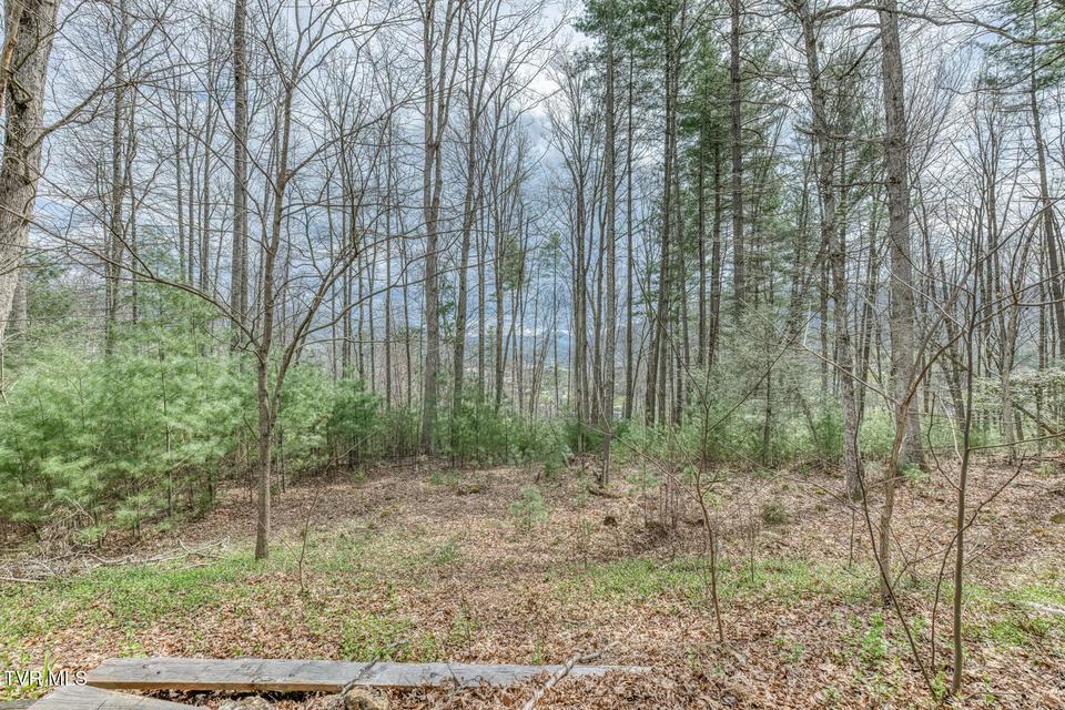 Photo #21: 580 Cedar Street