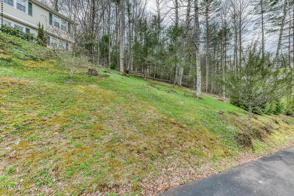 Photo #19: 580 Cedar Street