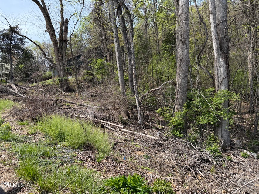 Photo #4: 513 San Antonio Drive