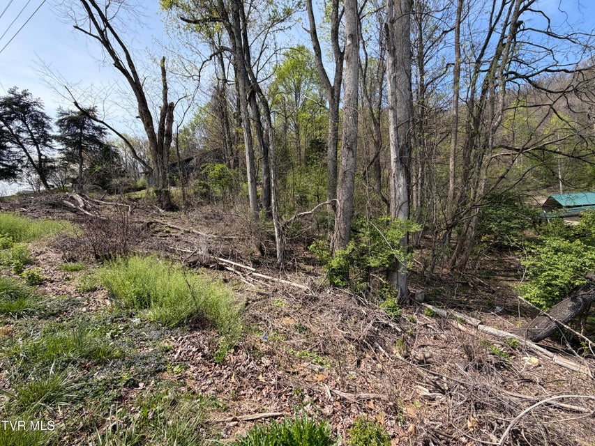 Photo #3: 513 San Antonio Drive