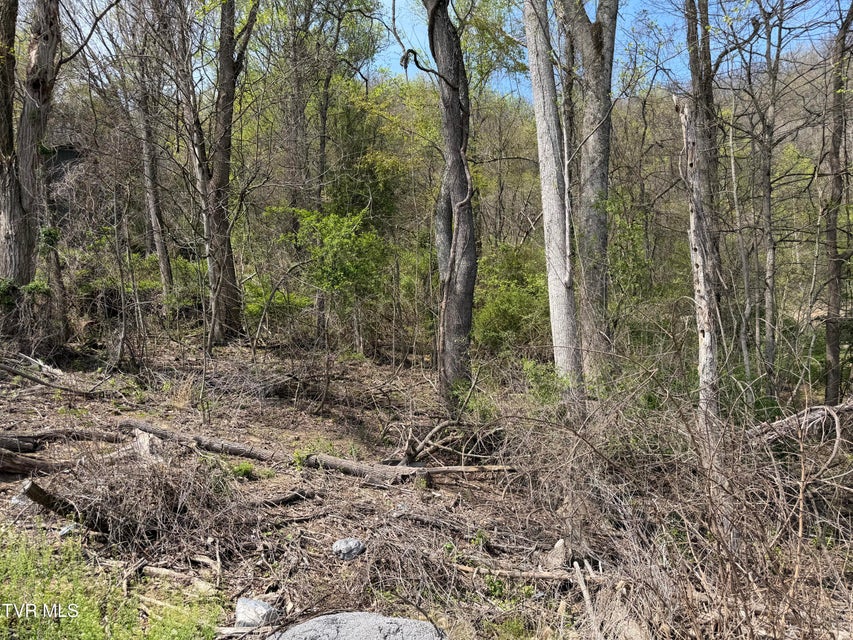 Photo #5: 513 San Antonio Drive