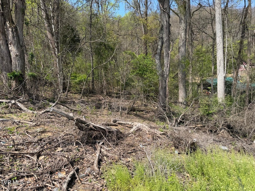 Photo #2: 513 San Antonio Drive