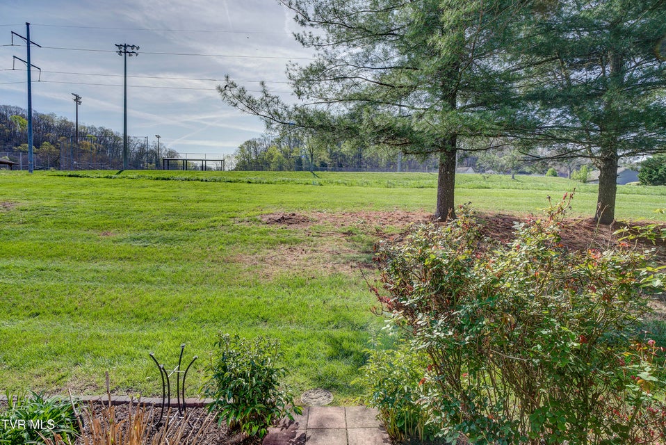 Photo #41: 425 Andover Court