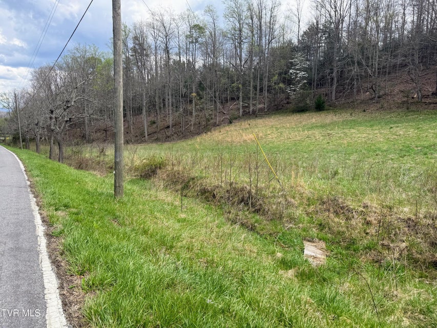 Photo #10: 116/Ac Tbd Houston Valley Tract 6 Road