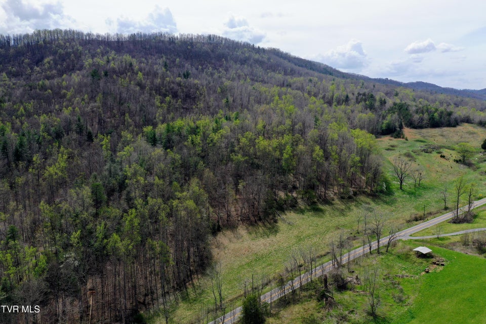 Photo #12: 116/Ac Tbd Houston Valley Tract 6 Road