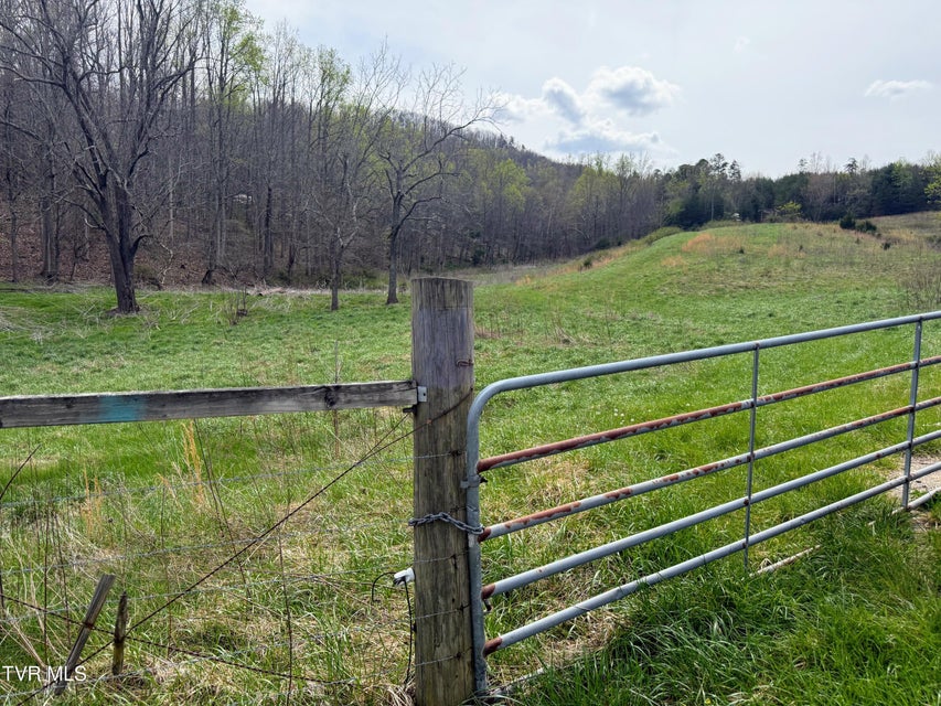 Photo #14: 116/Ac Tbd Houston Valley Tract 6 Road