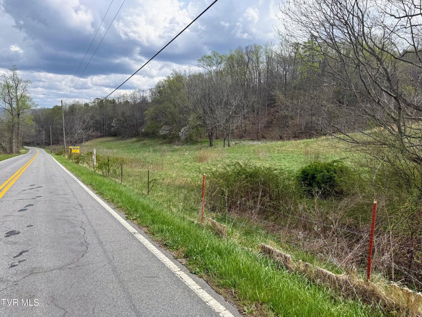 Photo #16: 116/Ac Tbd Houston Valley Tract 6 Road