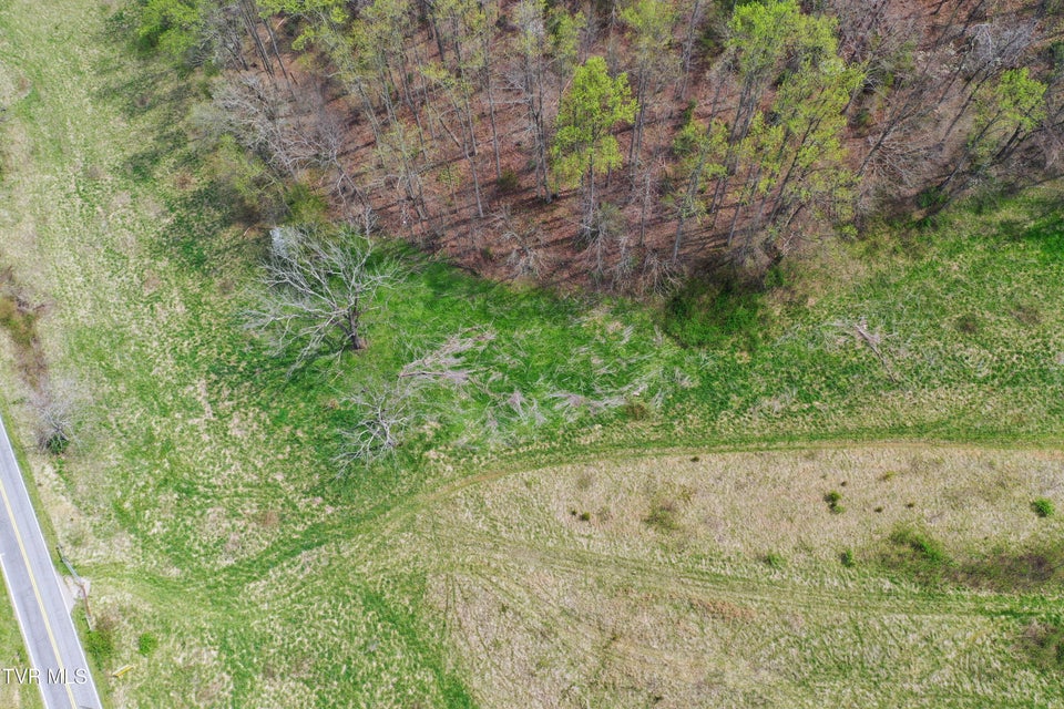 Photo #19: 116/Ac Tbd Houston Valley Tract 6 Road