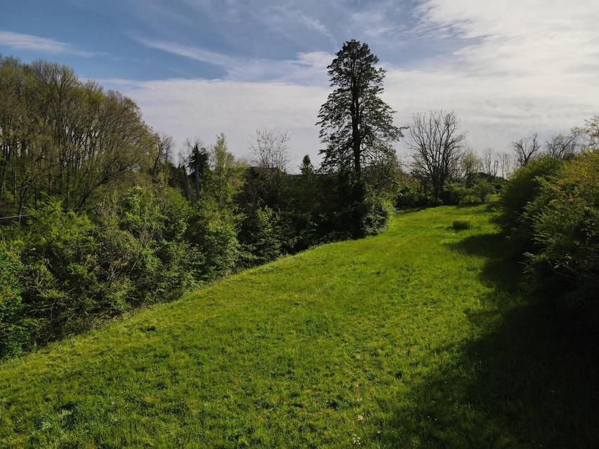 Photo #12: 2803 Browns Mill Road