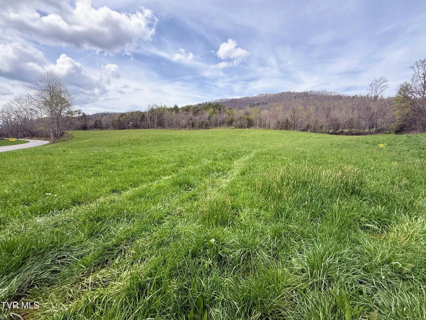 Photo #12: 43/Ac Tbd Houston Valley Tract 3 Road